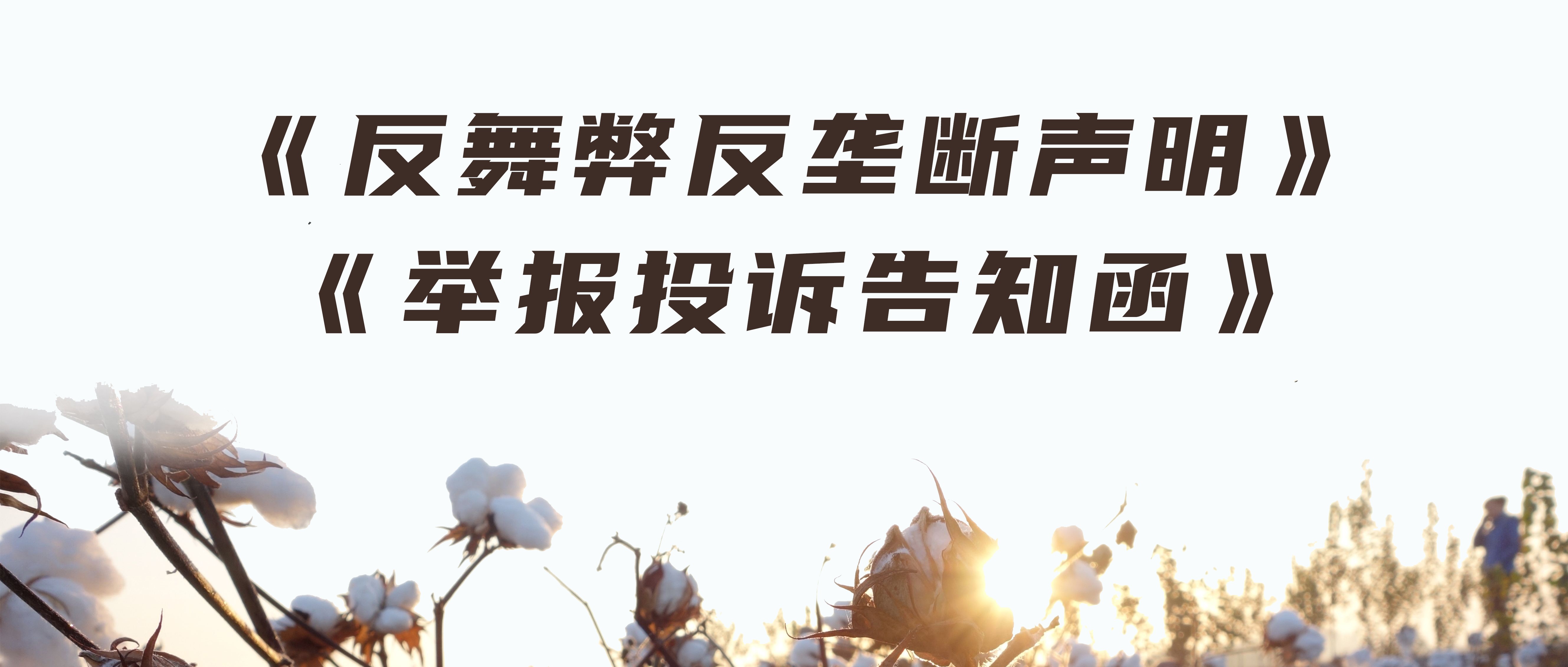 6t��������׷�¢��������ٱ�Ͷ�߼��溯