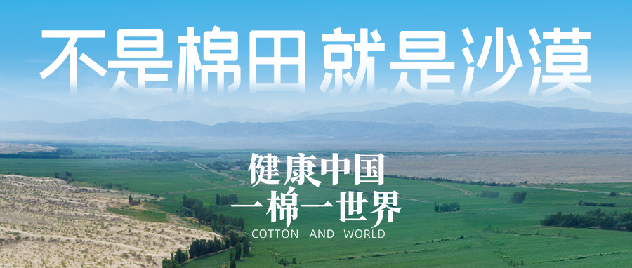 �������������쿵��������6t�����������������׽�������