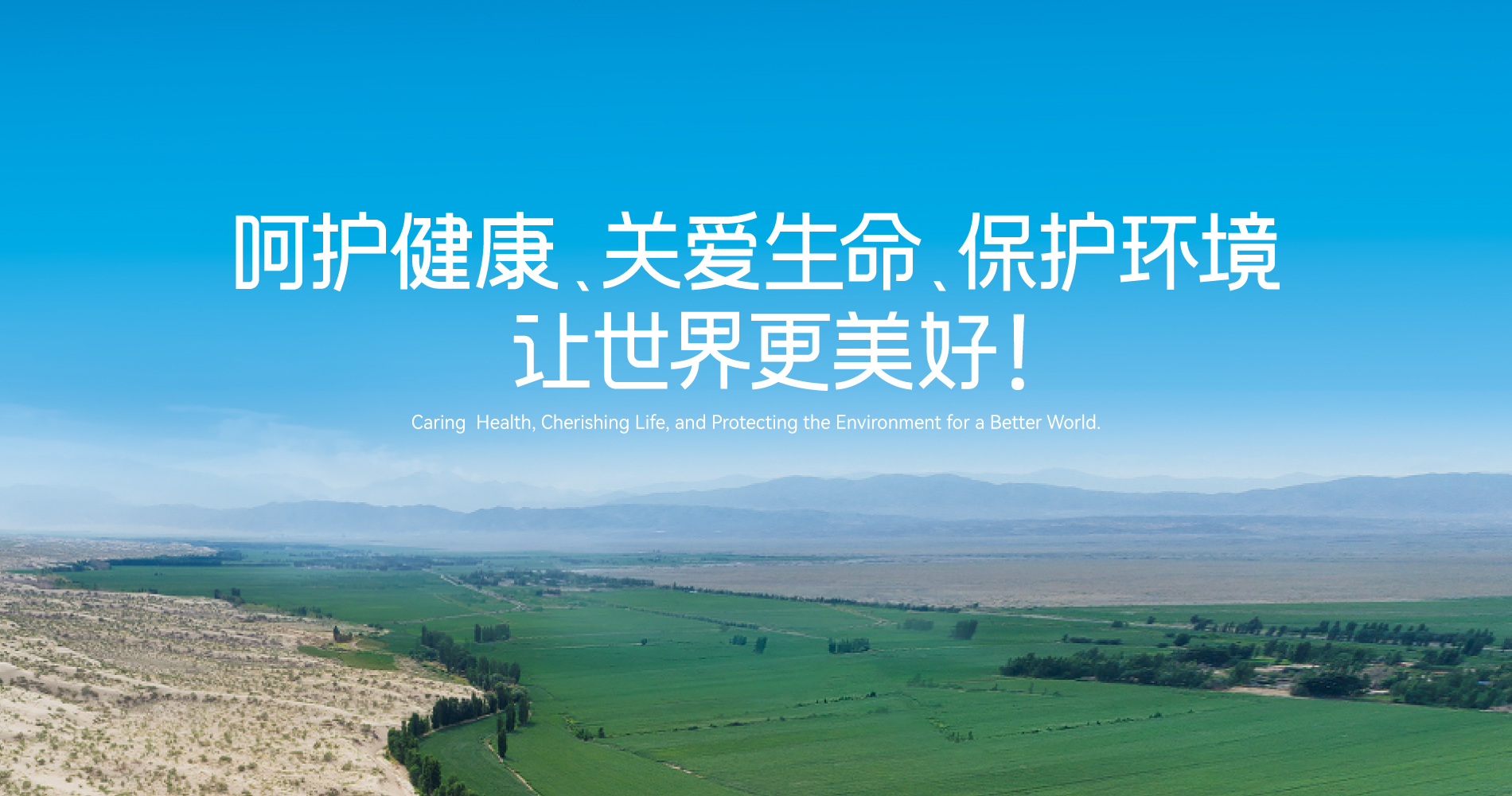 6t�������Ź�Ӧ����Ӧ����Ϊ׼��